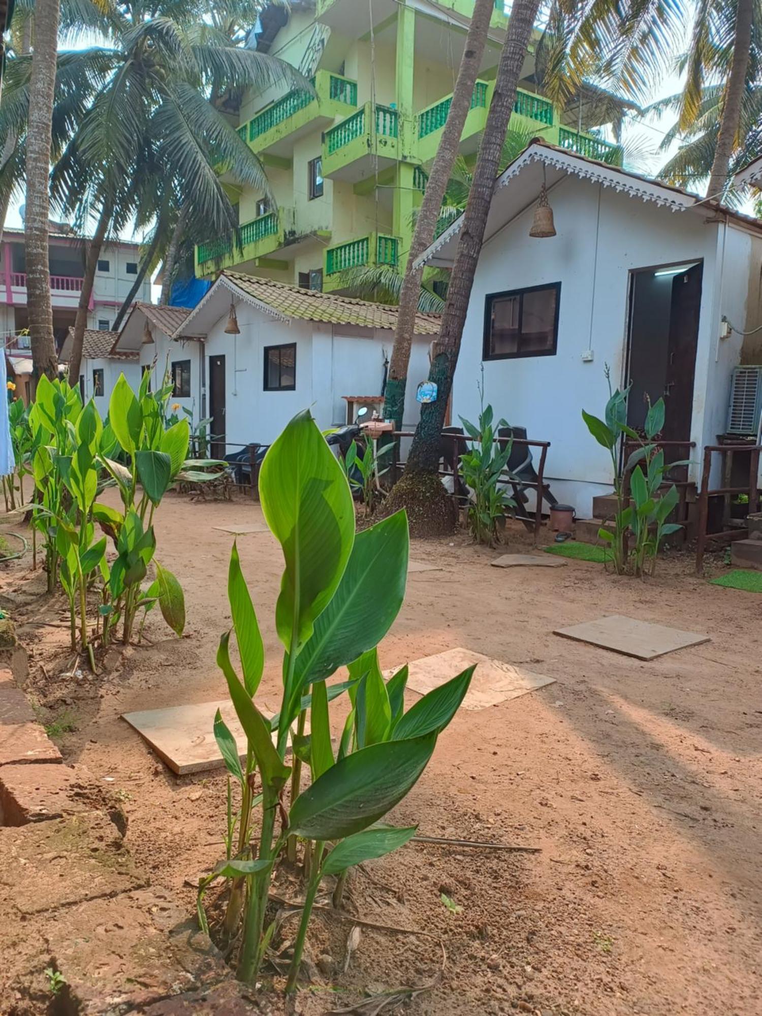 Paradice Huts Guest house Arambol